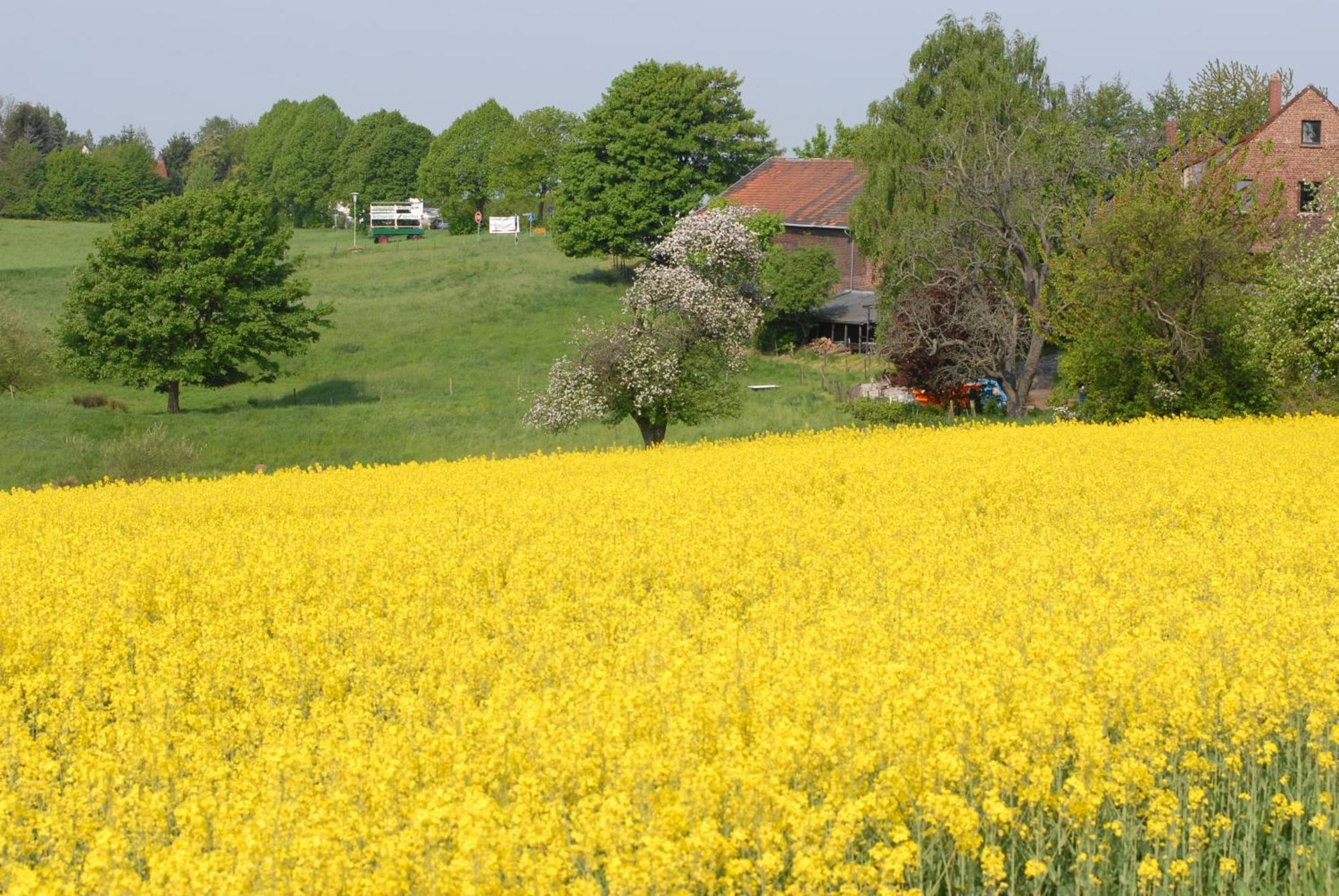 Apartment Close To Nature,Airport, Fair Ratingen Buitenkant foto