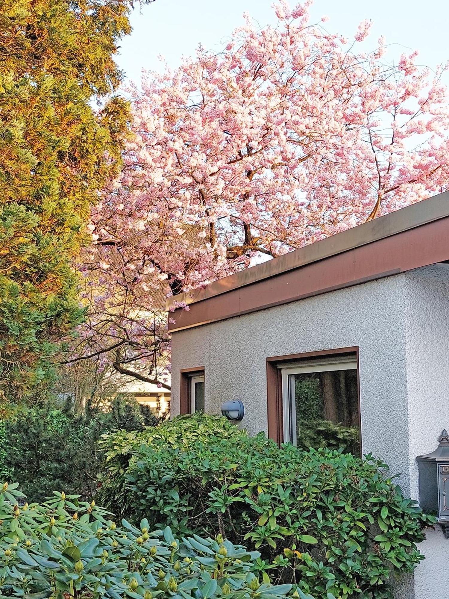 Apartment Close To Nature,Airport, Fair Ratingen Buitenkant foto